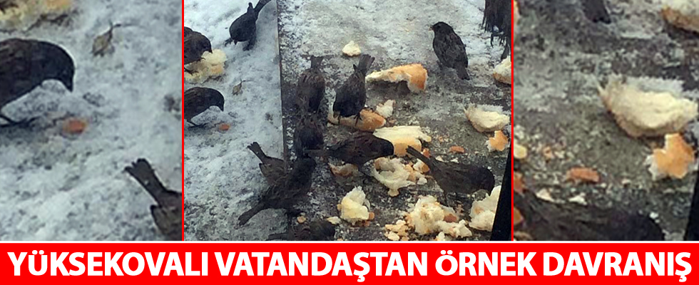 Yüksekovalı Vatandaştan Örnek Davranış