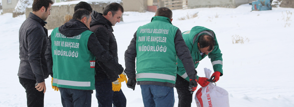 Yaban hayvanları için doğaya yem bırakıldı