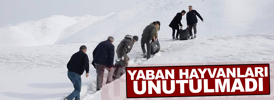 Yaban hayvanları unutulmadı