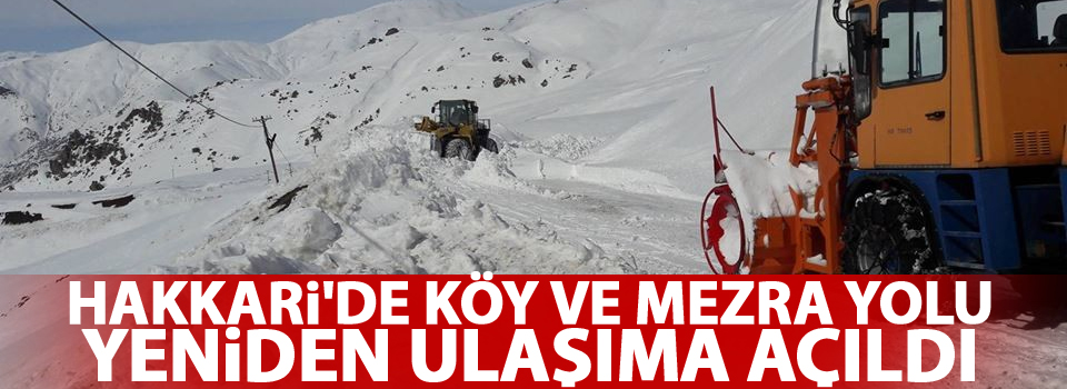 Hakkari'de köy ve mezra yolu yeniden ulaşıma açıldı