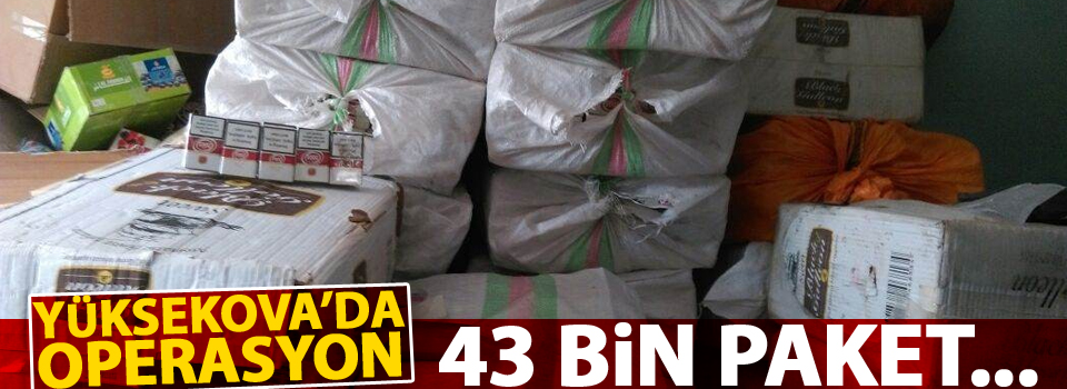 43 bin paket kaçak sigara ele geçirildi