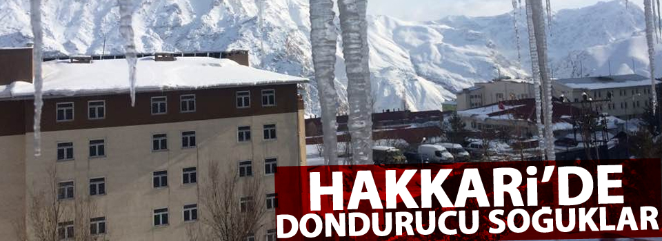 Hakkari'de dondurucu soğuklar