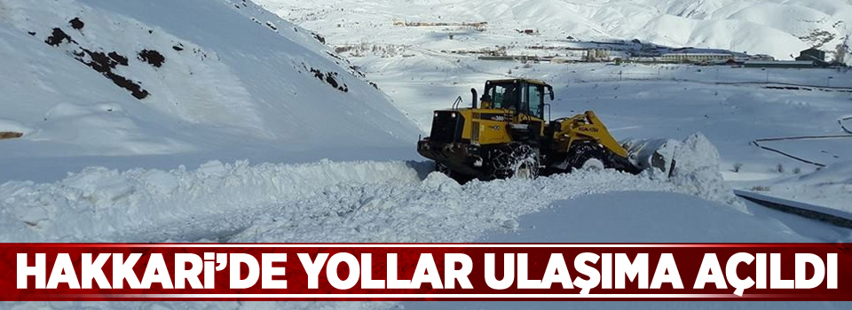 Hakkari’de tüm yollar ulaşıma açıldı