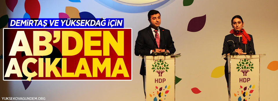 AB'den Demirtaş ve Yüksekdağ için açıklama