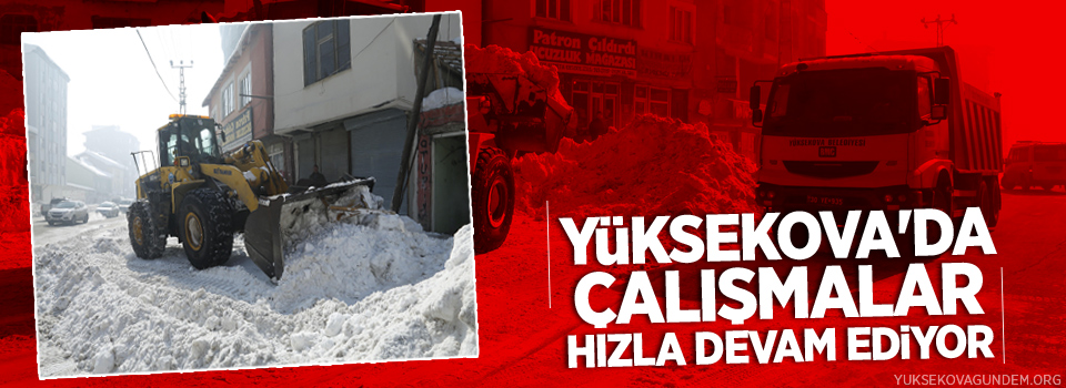 Yüksekova'da karla mücadele çalışması