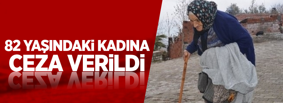 82 yaşındaki kadına ceza verildi