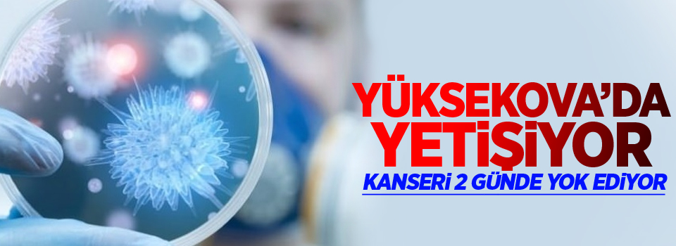 Yüksekova'da yetişiyor, kanseri yok ediyor!