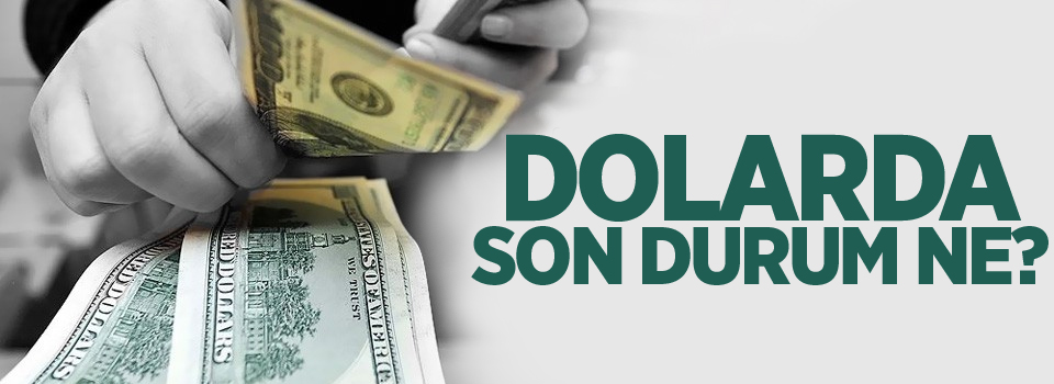 Dolar ne kadar?