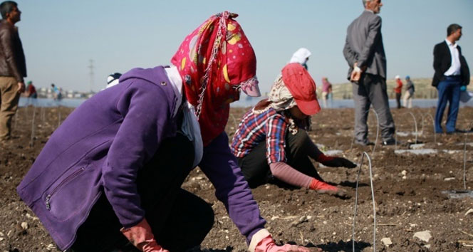 Ücretleri yüzde 13 arttı