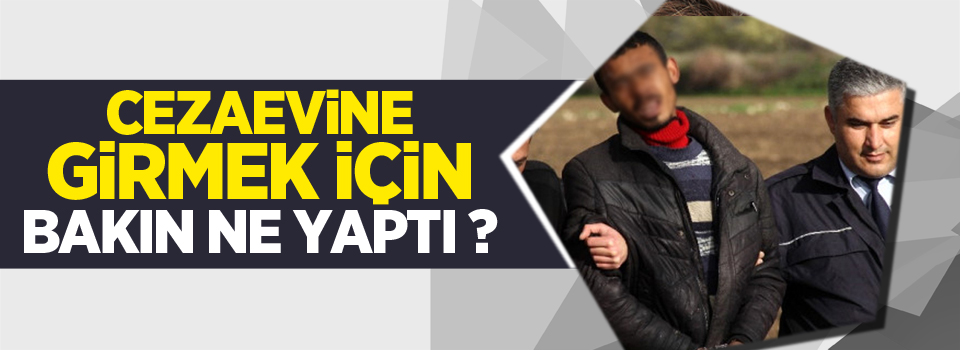 Cezaevine Girmek İçin Bakın ne yaptılar?