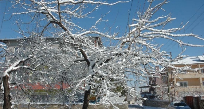 Van'da 49 yerleşim yeri ulaşıma kapandı