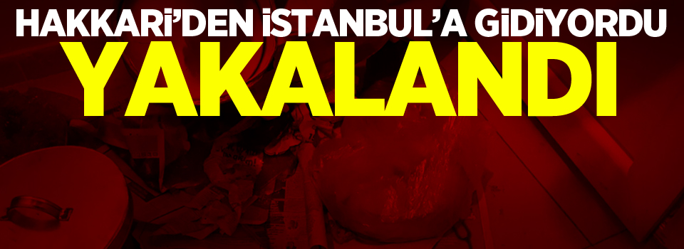 Hakkari'den İstanbul'a gidiyordu, Yakalandı!