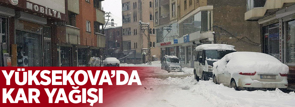 Yüksekova'da kar yağışı