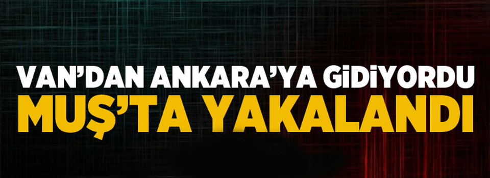 Van'dan Ankara'ya gidiyordu, Muş'ta yakalandı