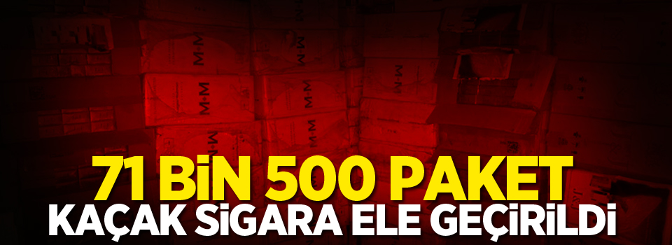 71 bin 500 paket kaçak sigara ele geçirildi