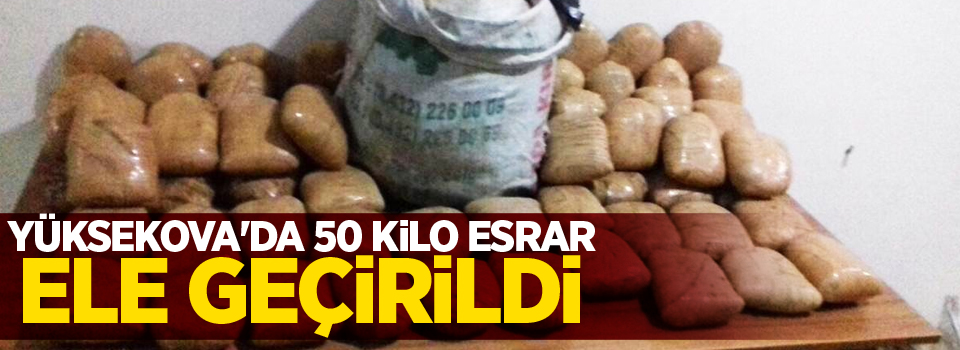 Yüksekova'da 50 kilo esrar ele geçirildi