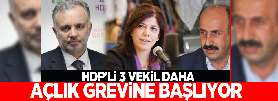 HDP'li 3 vekil daha açlık grevine başlıyor