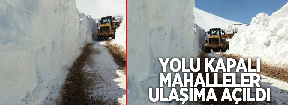 Başkale’de yolu kapalı olan mahalleler ulaşıma açıldı