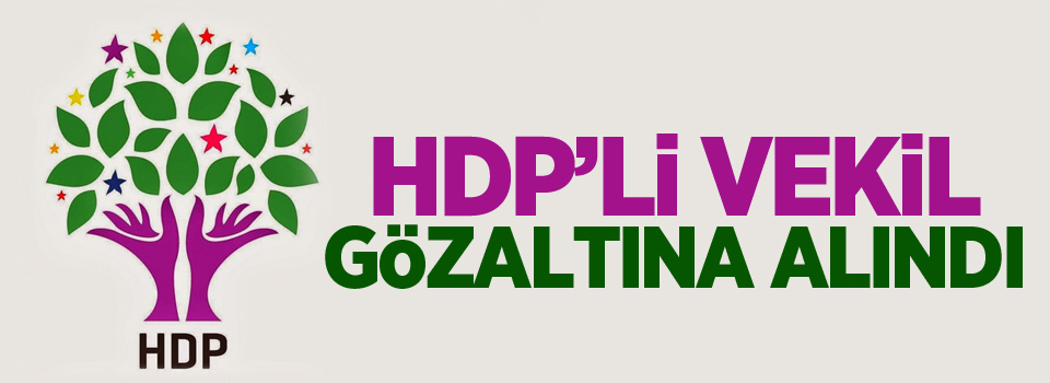 HDP'li vekil Başaran gözaltına alındı