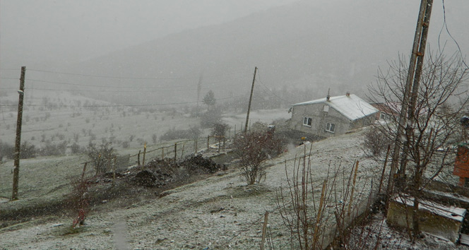 Kar yağışı Ardahan'ı beyaza bürüdü
