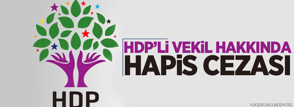 HDP'li vekil hakkında hapis cezası!