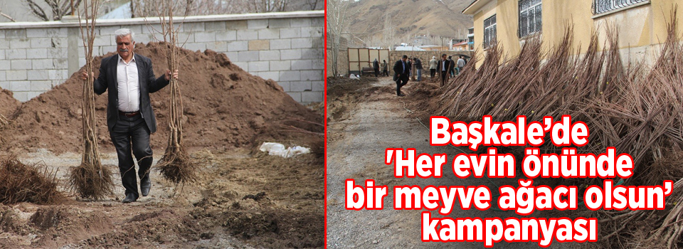 Başkale’de 'Her evin önünde bir meyve ağacı olsun’ kampanyası