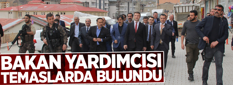 Bakan Yardımcısı Yegin, Şemdinli'de temaslarda bulundu
