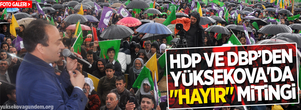 HDP ve DBP'den Yüksekova'da 'Hayır' mitingi
