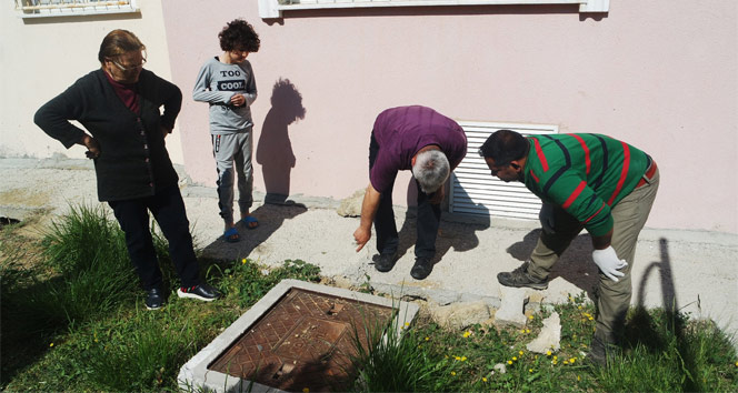 Beton altındaki 6 yavru köpek kurtarıldı