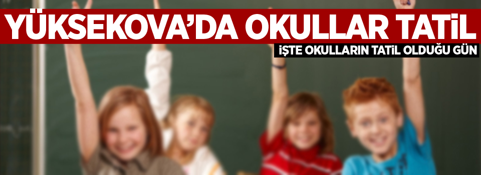 Yüksekova'da okullar tatil!