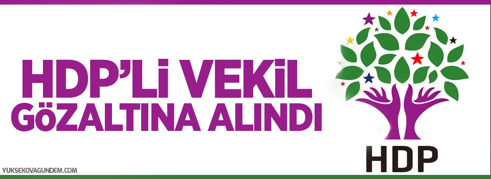 HDP'li vekil gözaltına alındı