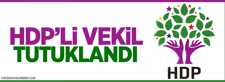 HDP'li vekil tutuklandı