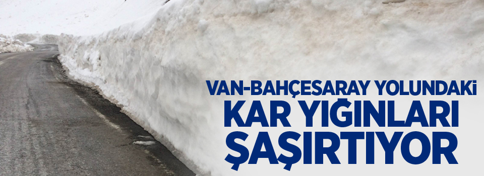 Van-Bahçesaray yolundaki kar yığınları şaşırtıyor