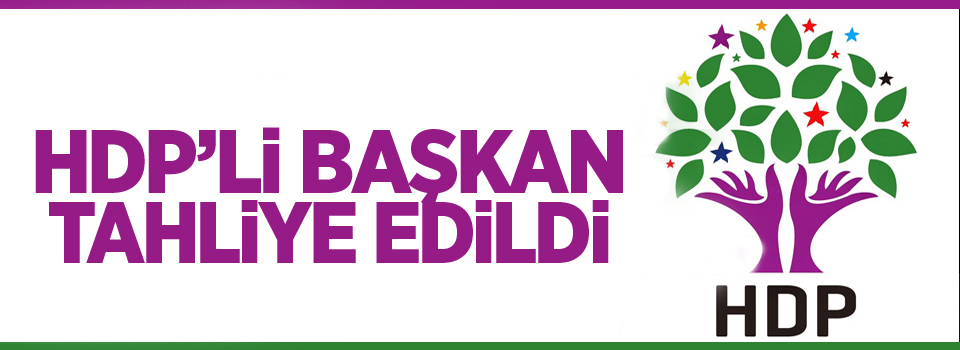 HDP'li başkan tahliye edildi