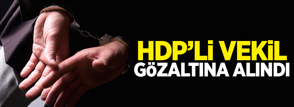 HDP'li milletvekili İbrahim Ayhan havalimanında gözaltına alındı