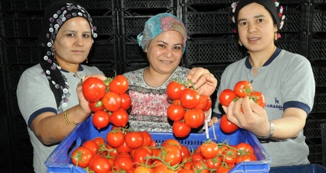 Nisanda zam şampiyonu domates oldu