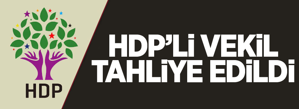 HDP'li vekil tahliye edildi