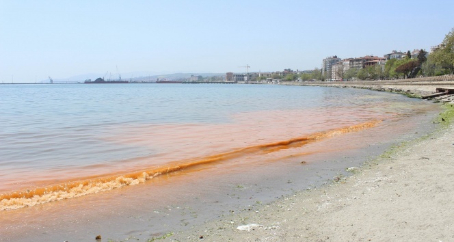 Marmara Denizi hala turuncu
