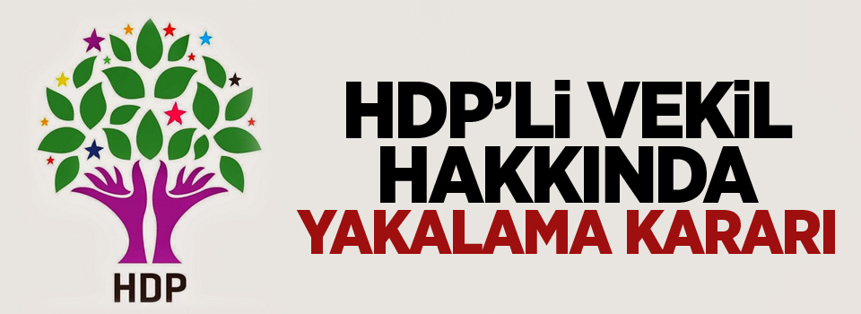 HDP’li Vekil hakkında yakalama kararı