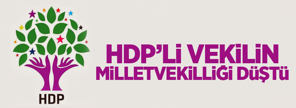 HDP Diyarbakır milletvekili Nursel Aydoğan'ın milletvekilliği düştü