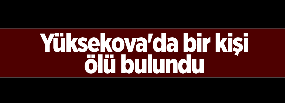 Yüksekova'da bir kişi ölü bulundu