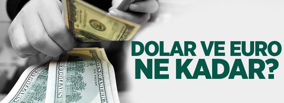 Dolar ve euro ne kadar?