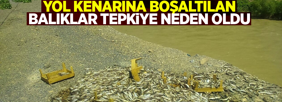 Yol kenarına boşaltılan balıklar tepkiye neden oldu