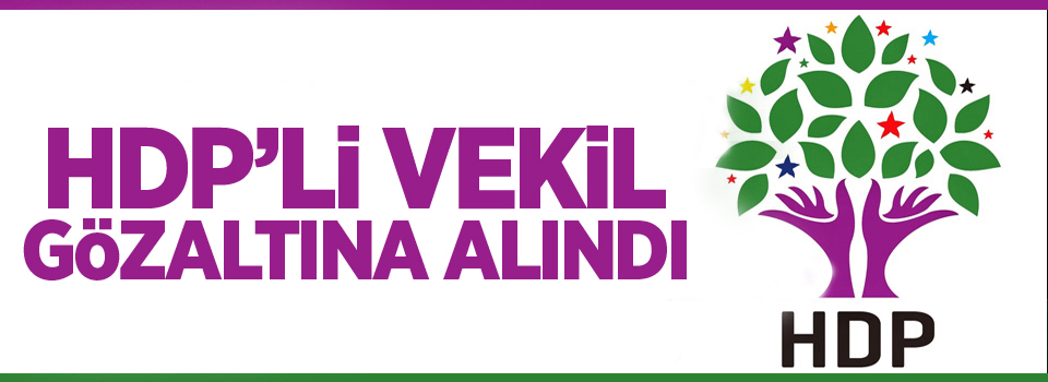 HDP'li vekil gözaltına alındı