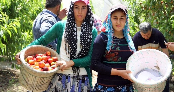 Ekmek parası için gece 03.30’da kalkıp yollara düşüyorlar