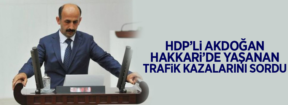 HDP'li Akdoğan Hakkari'de yaşanan trafik kazalarını sordu