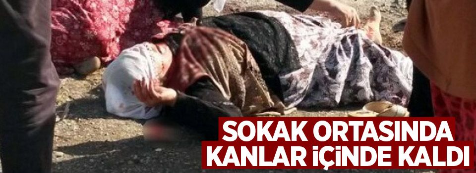 Sokak ortasında kanlar içinde bıraktılar