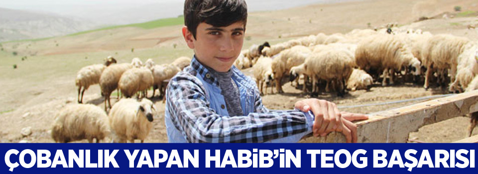 Çobanlık yapan Habib’in TEOG başarısı