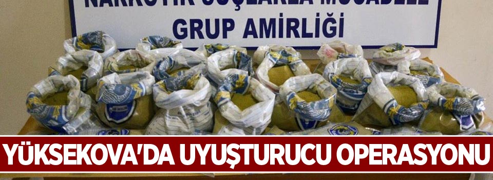 Yüksekova'da uyuşturucu operasyonu