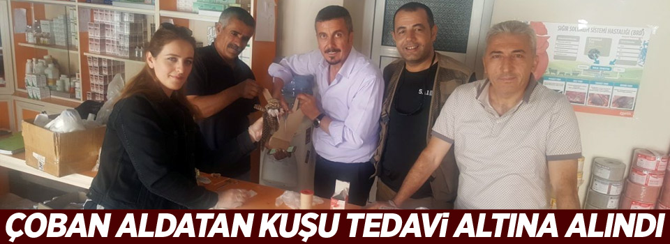 Çoban aldatan kuşu tedavi altına alındı